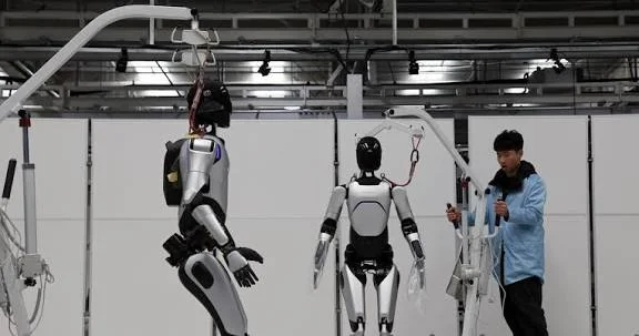 Technician testing two humanoid robots suspended on support frames in a workshop