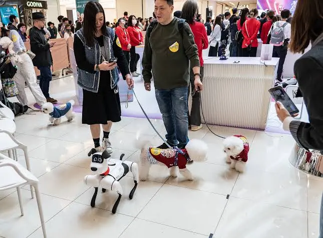 Robot dog in a shopping mall with shoppers and pet dogs around it